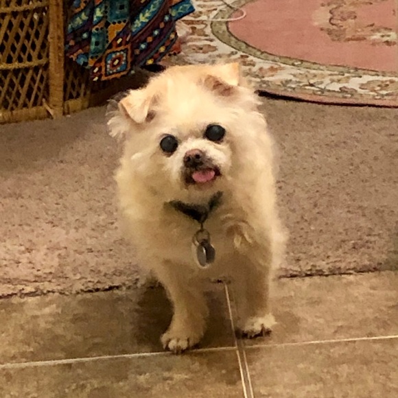 🌟❤️JEFFERSON❤️🌟 - Picture 10 of 13